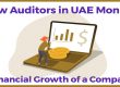 How Auditors in UAE Monitor Financial Growth of a Company