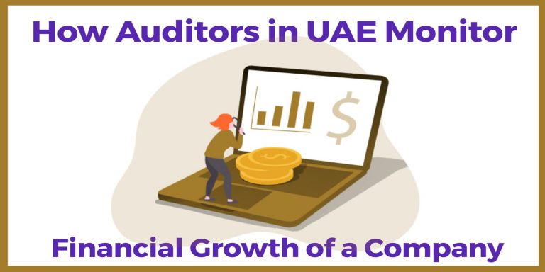 How Auditors in UAE Monitor Financial Growth of a Company
